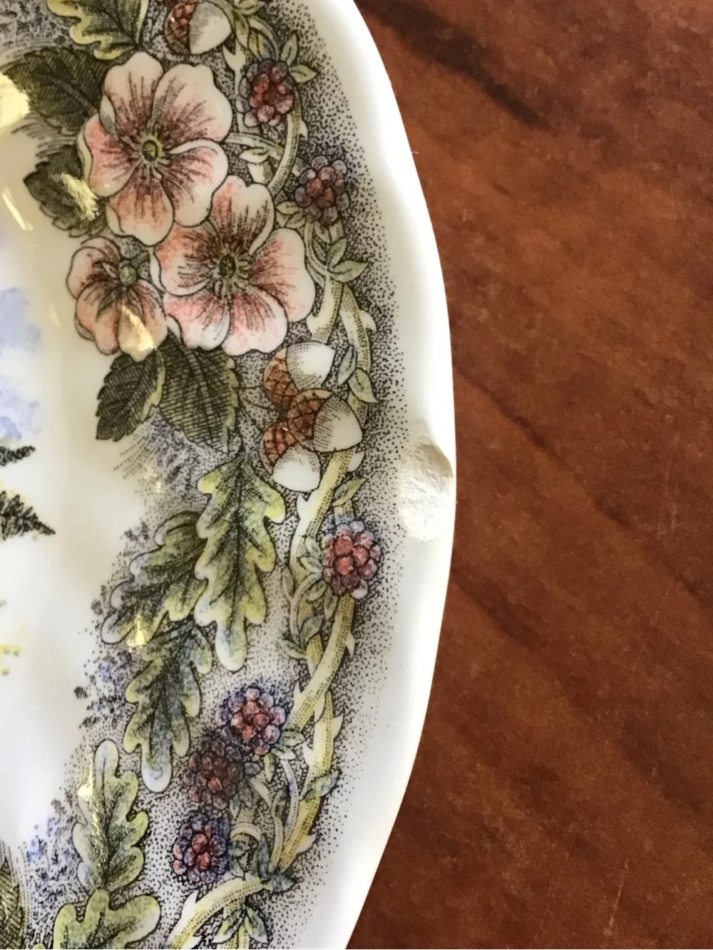 Queens Thanksgiving Turkey Flowers Dinner & Salad Plates